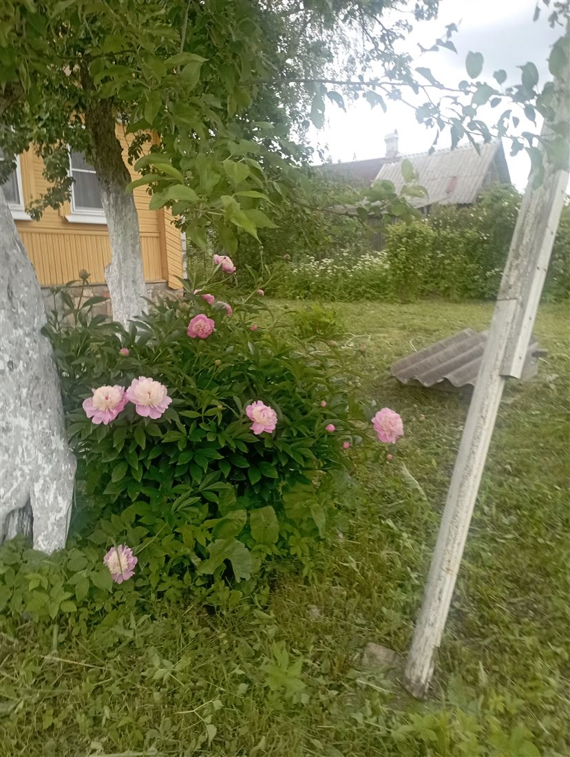 Купить  дом