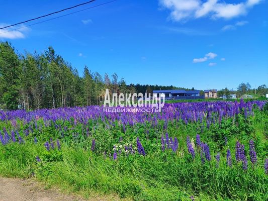 Купить  участок