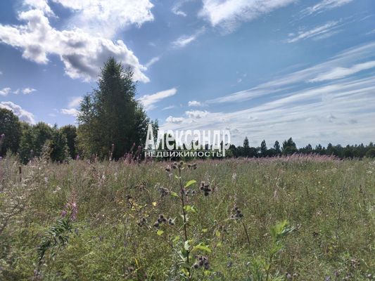 Купить  участок