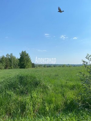 Купить  участок