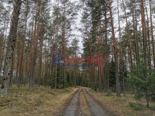 Купить  участок