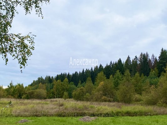 Купить  участок