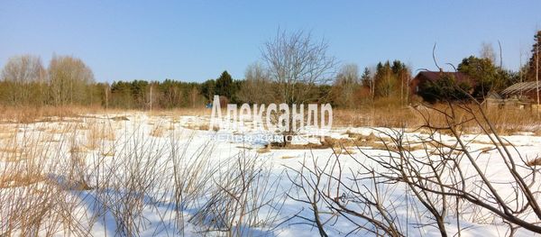 Купить  участок