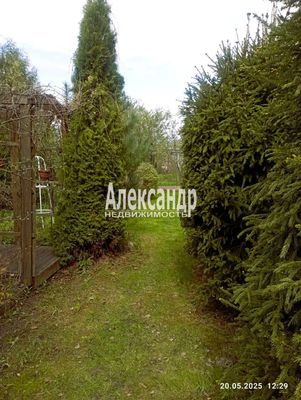 Купить  дом