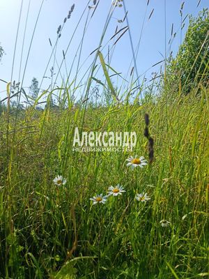 Купить  участок