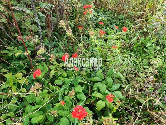 Купить  участок