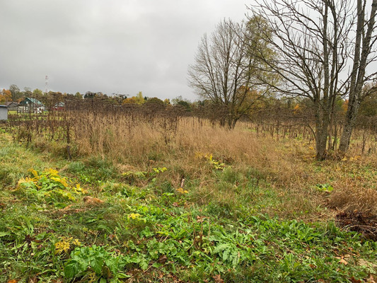 Купить  участок