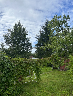 Купить  дом